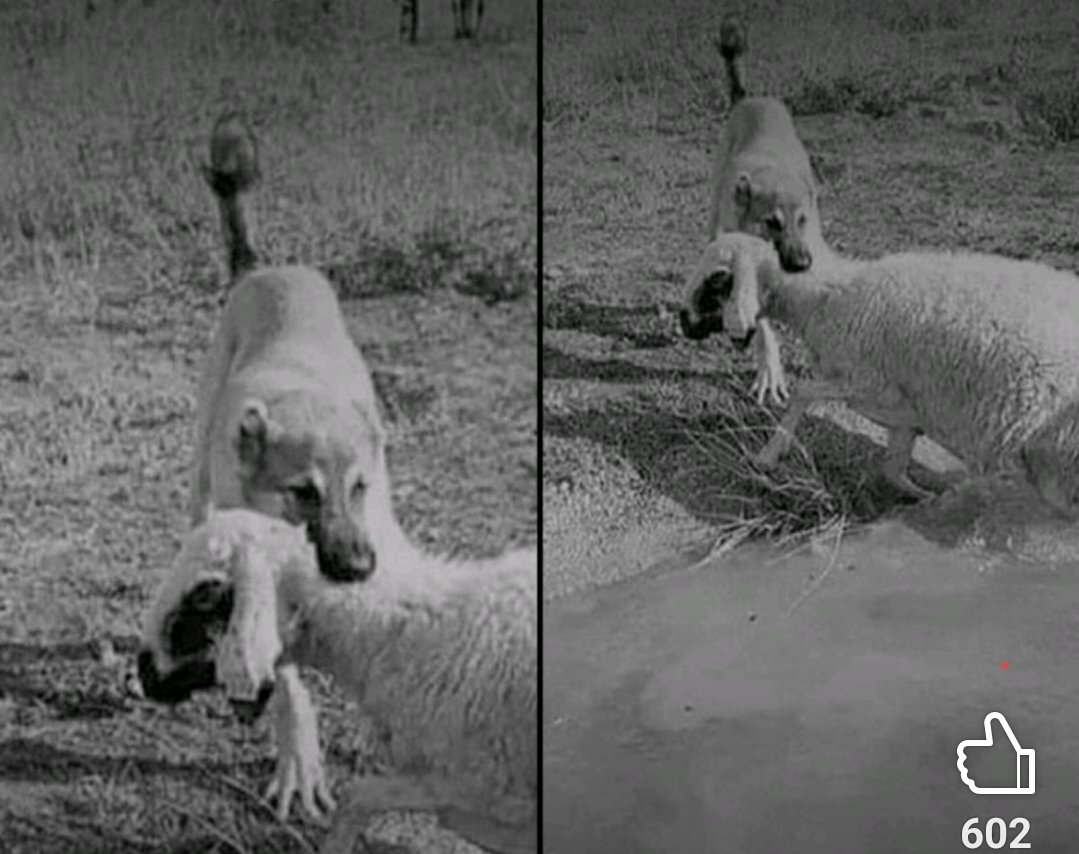 "Hikaye yanlış kişi tarafından anlatıldığında, her zaman kötü adam olursun."

Gerçeğin hiçbir önemi yoktur;
Anlatıcı kimse, hakikat onun kaleminde şekil bulur...

Onun için doğru bilgiyi doğru kişilerden objektif bir şekilde alın ve öğrenin...