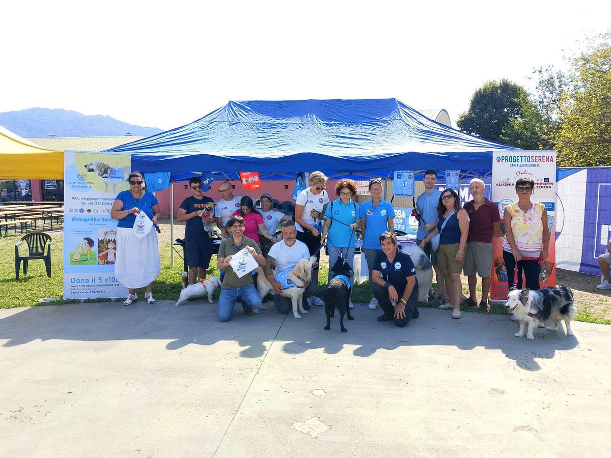 ManfrediPotenti's tweet photo. 🔵 #LUMBARDDOG - #IMBERSAGO

Con il #DIPARTIMENTO #TUTELA #BENESSERE #ANIMALI

Inizia l'avventura della più originale iniziativa di partito a favore dei nostri amici animali !!
Presenti anche i cani da allerta diabete di #AssociazioneSerena ❤️🐶

https://t.co/gAvsCcj2ic https://t.co/h9FOk2LtZy