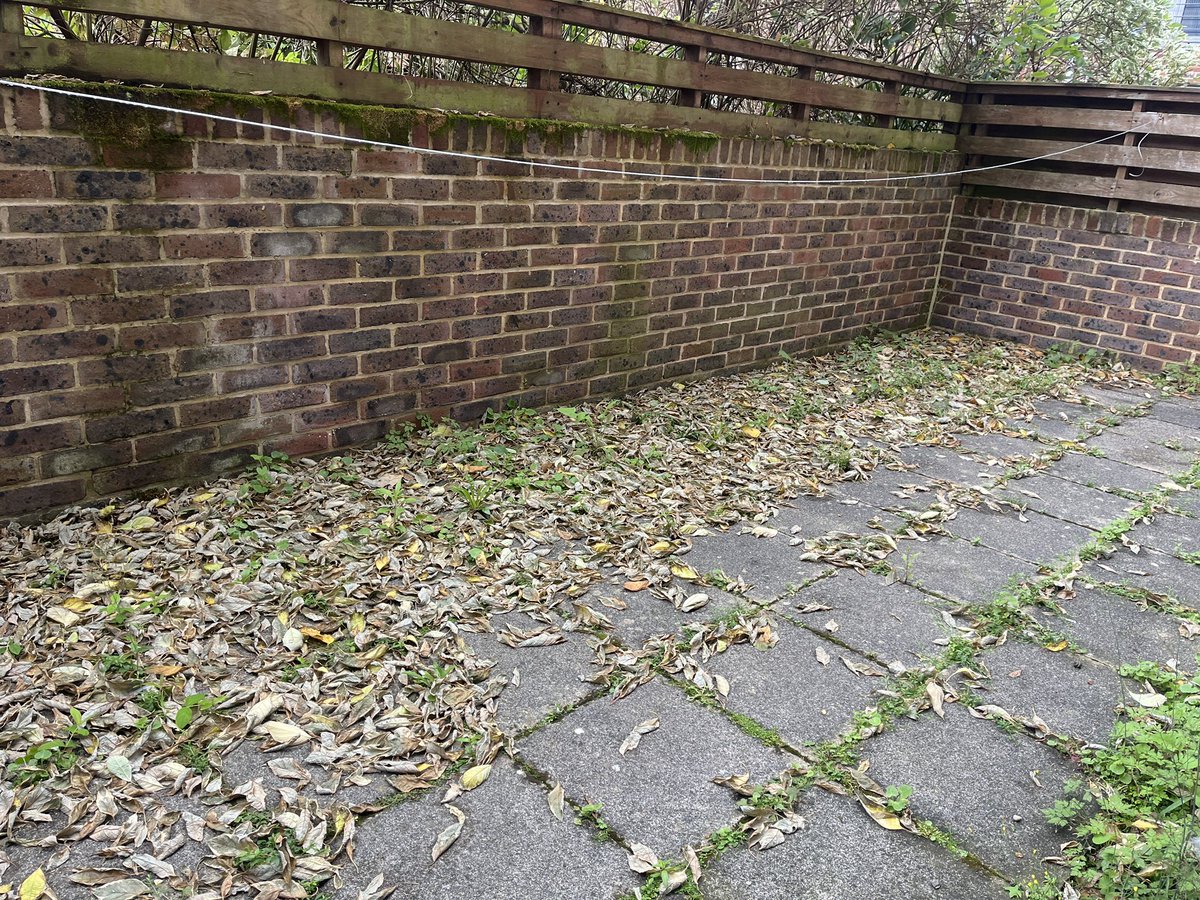 Woke up and now it’s autumn?