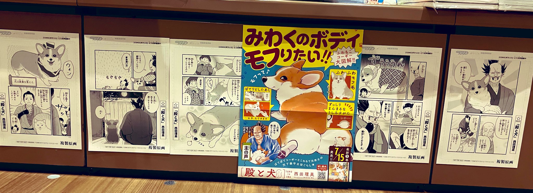 ふたば書房茨木店 on X: 