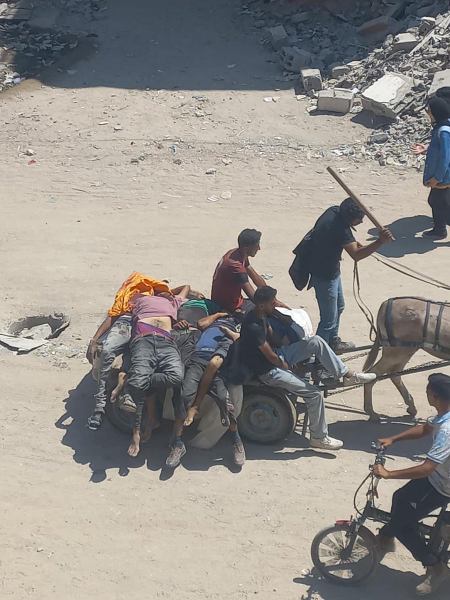 GhaziPS25's tweet image. انتشال 17 شهيد من المجوعين في منطقة زيكيم والعدد مرشح للزيادة بشكل كبير