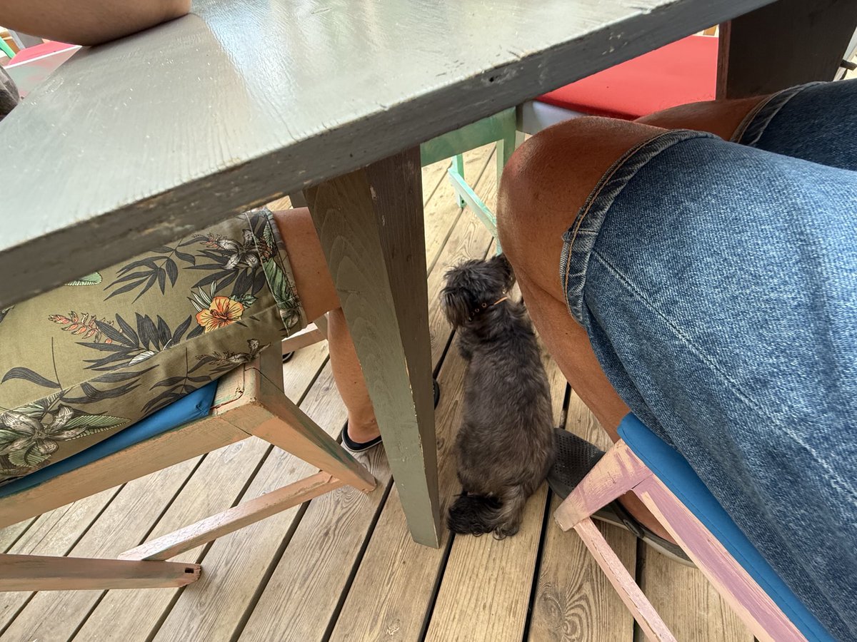 Чей-то собакен пристроился к нашему столику. А мы чо? А мы не против.