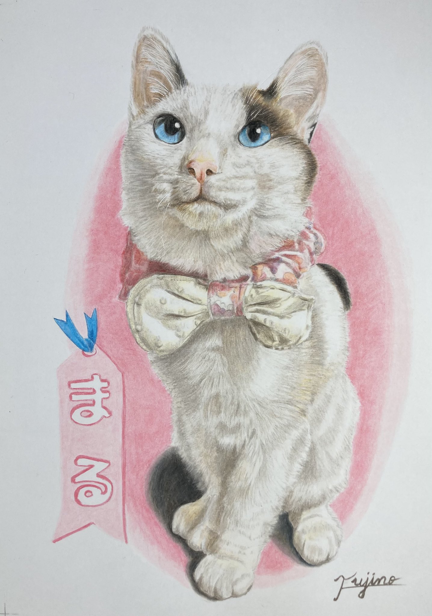 にこりん　色鉛筆画　オーダーページです 色鉛筆の塗り方早送りなしリンゴ 描き始め編の解説その壱 How to