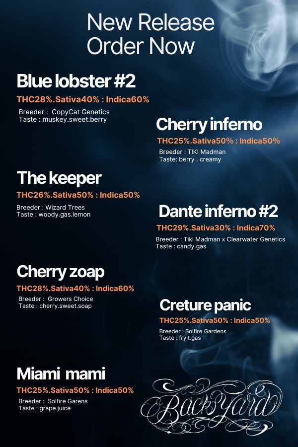 Back yard@official tweet media