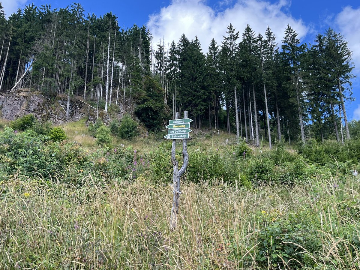 Nationallibera3's tweet image. Gestern war endlich wieder schönes Wanderwetter. Wurde gleich für einen Ausflug in den Thüringer Wald genutzt 🥾☀️