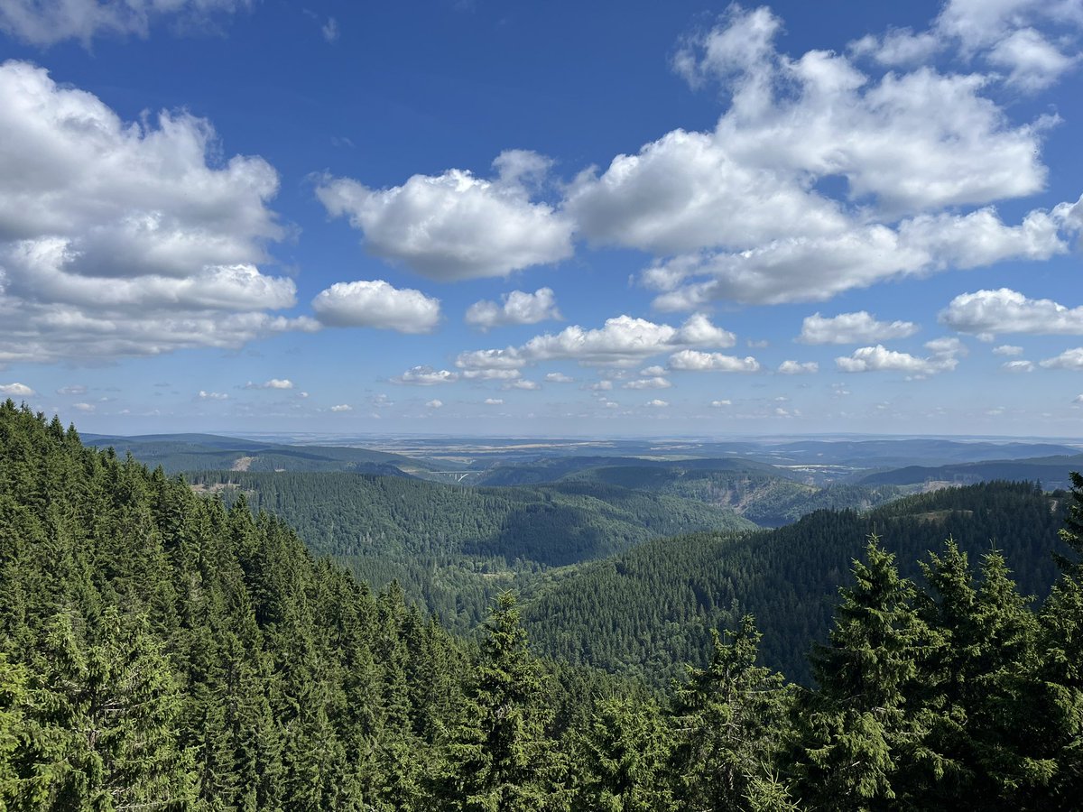 Nationallibera3's tweet image. Gestern war endlich wieder schönes Wanderwetter. Wurde gleich für einen Ausflug in den Thüringer Wald genutzt 🥾☀️