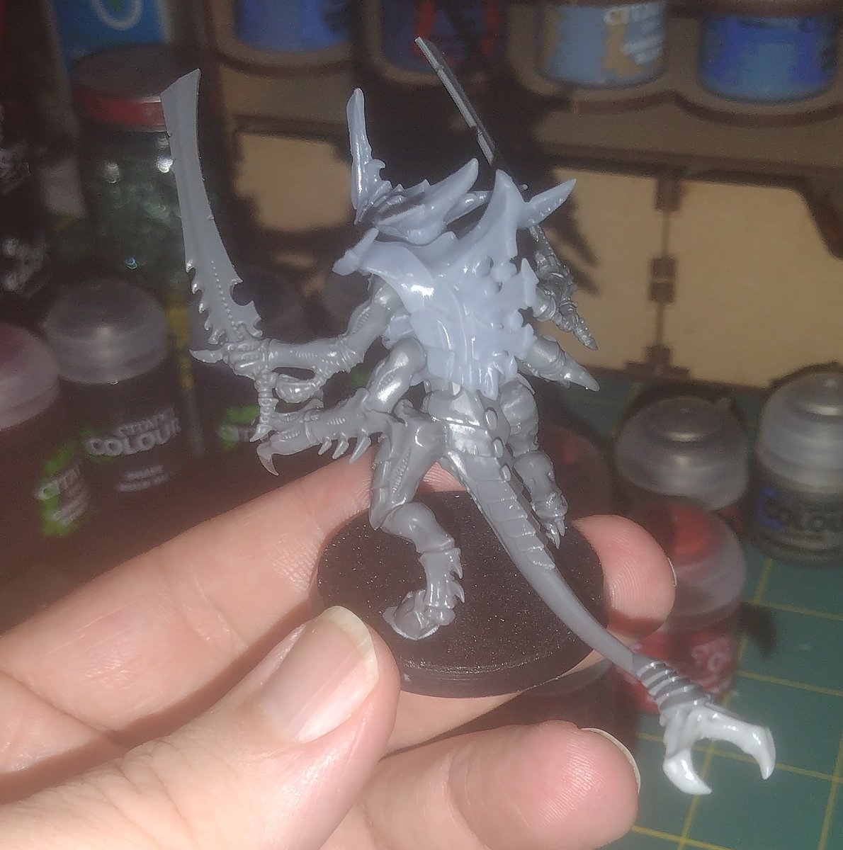 Working on more Nids.
Just finished two full squads of shooty Warriors.
I've got some resin bits printed up, using them to add visual variety so they're not copy paste of the other warriors.
#warhammer40000 
#Tyranids