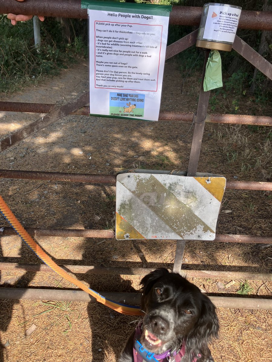 PiperSprocks's tweet image. Me and the Hooms and PiperPal duzzunt like mess 💩 so this is Dad’s noo improved Bag holder so thare is reely No Excoos
He duz hav to eet hole tub of icykreem to make it