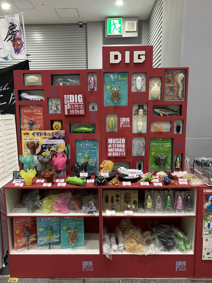 DIG_museum's tweet image. \\ ✨ 1日目、終了‼ //
#博物ふぇすてぃばる!11
1日目は無事終了しました✨
ご参加いただいた皆さま、本当に
ありがとうございました!
明日もよろしいお願いいたします!