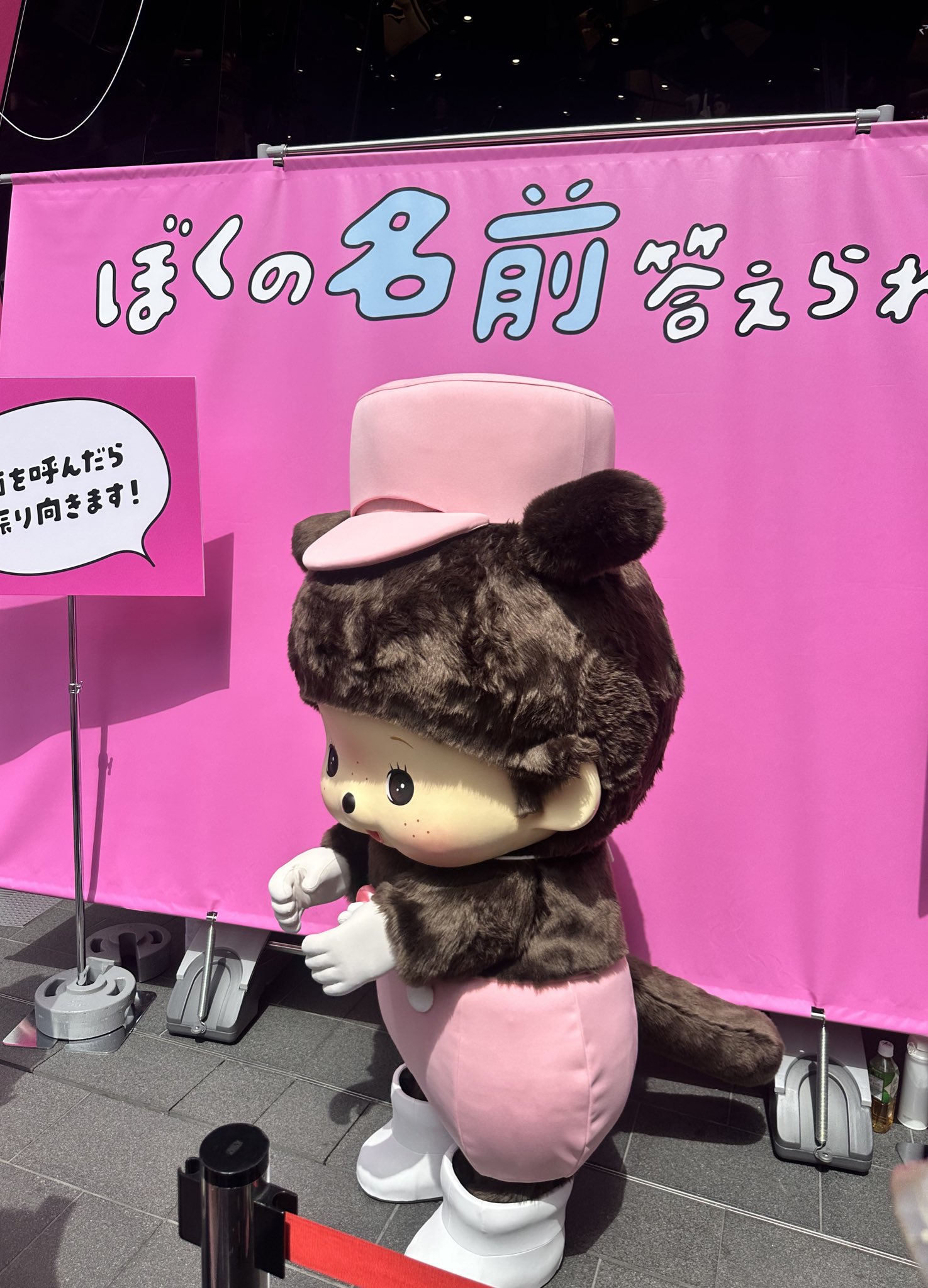 ベビチッチ❇️ミュウ❇️説明文必読 ベビチッチ【公式】 (@bebichhichi1030) / X