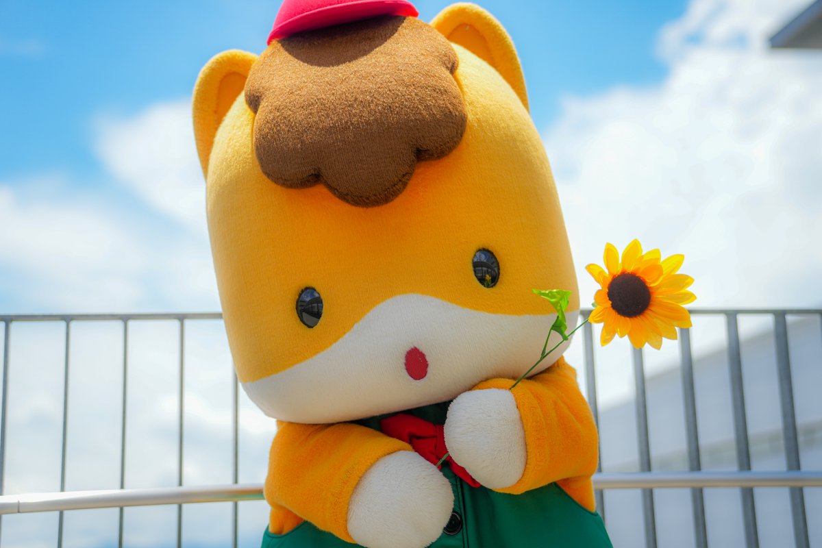 くんくんページです 持つだけで夏っぽさ80%増し🐴（ぐんまちゃん調べ） #ぐんまちゃん #群馬