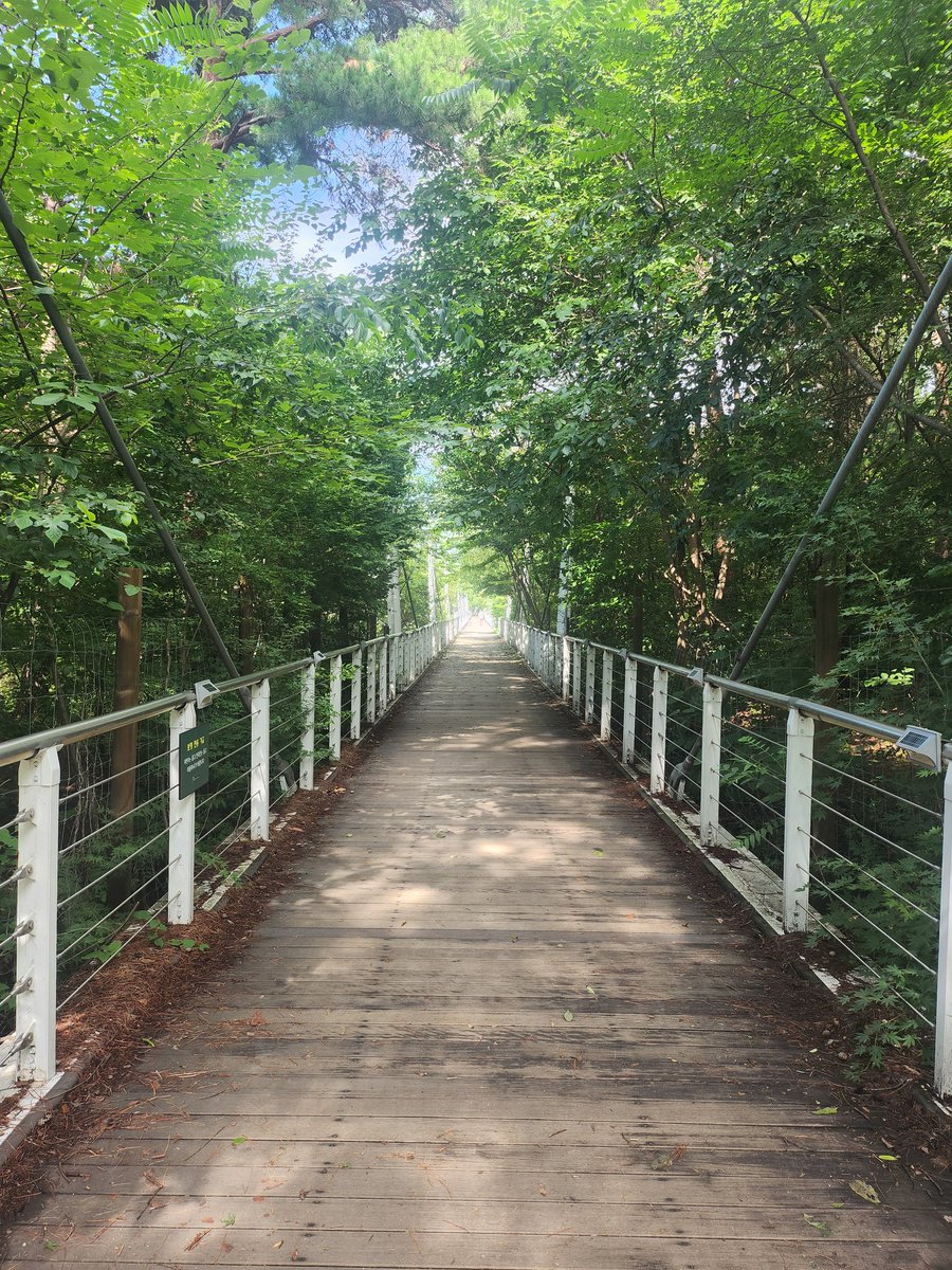 산책하기 적당한 날씨~