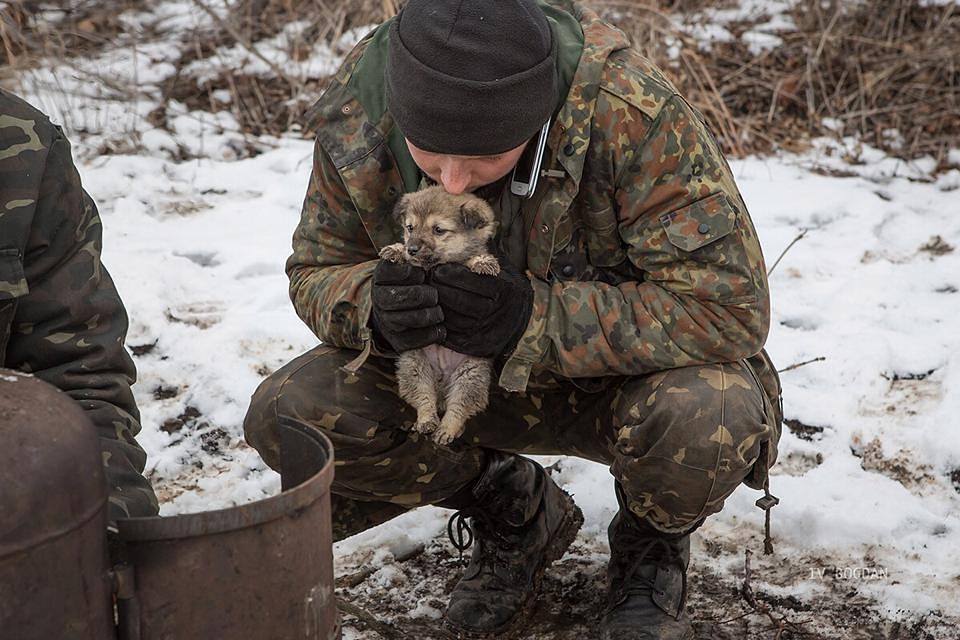 74Fraza's tweet image. "Есть ли будущее у страны, где половина населения кричит шо Ze - найвэлычнишый лидэр сучасности, а вторая хочет вернуть Порошенка снова?"Ще воюємо, переможемо то буде майбутнє!