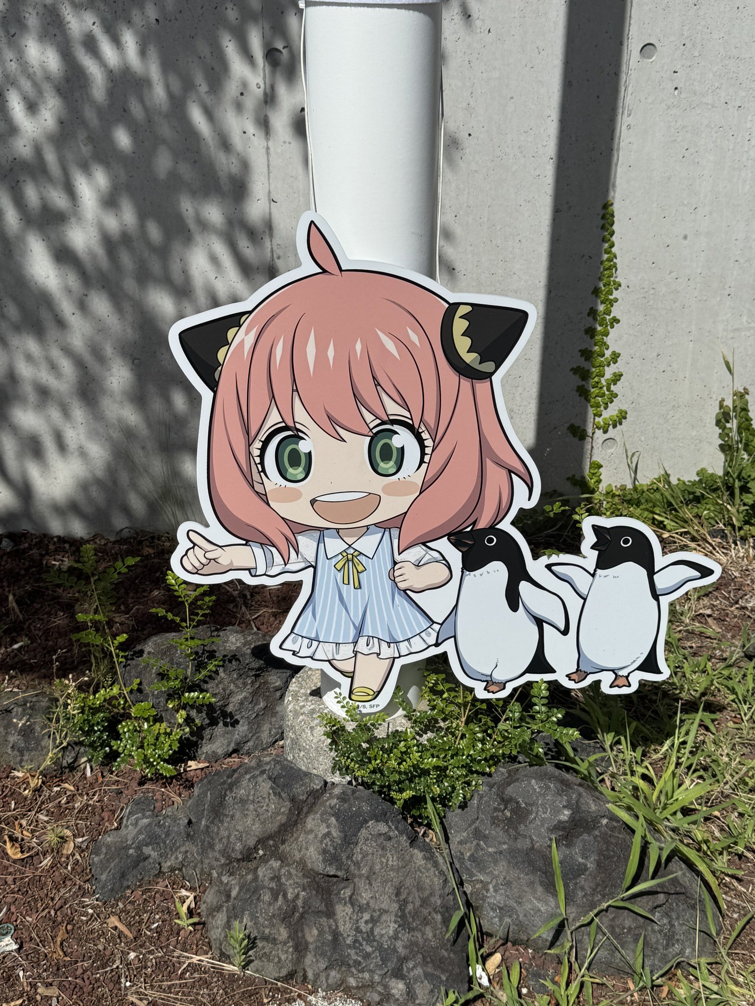 ♡ あゆちゃん 様、専用♡※他の方はご遠慮ください‼️ 夏休み記念その39♪ お花いっぱい付いてます！（笑）