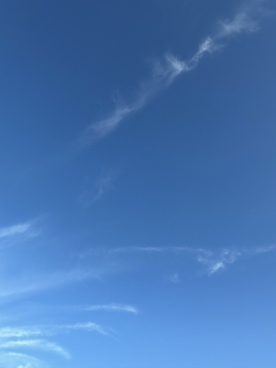 miko0296's tweet image. みなさんこんにちは😃
今日も日差しが強くて暑いです☀️
今日は選挙ですね〜
この前、期日前投票に
行ってきました⭐️
今夜8時からの開票速報を
見たいと思います⭐️
#いまそら