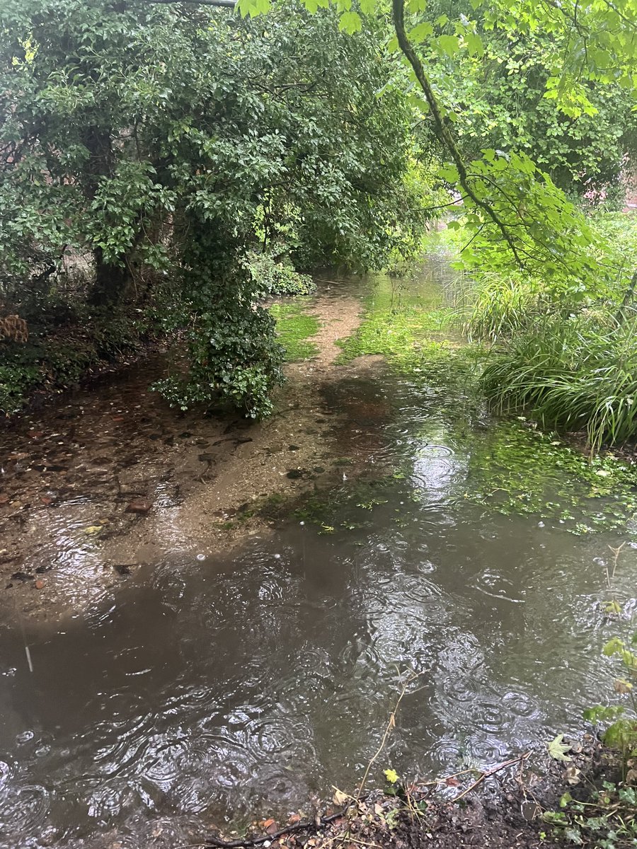 PJennings88's tweet image. Some gentle rain in Chesham yesterday and we see the impact of urban runoff into the Chess in Duck Alley. This will be a combination of toxic material from roads, and organic material, fine sediment and chemicals from arable runoff. @DefraGovUK @ChilternsNL