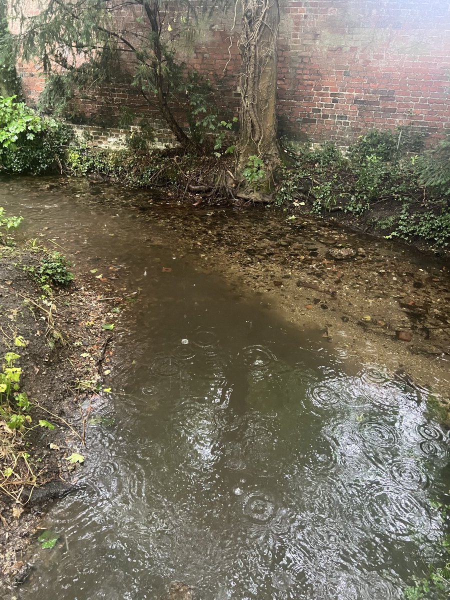 PJennings88's tweet image. Some gentle rain in Chesham yesterday and we see the impact of urban runoff into the Chess in Duck Alley. This will be a combination of toxic material from roads, and organic material, fine sediment and chemicals from arable runoff. @DefraGovUK @ChilternsNL