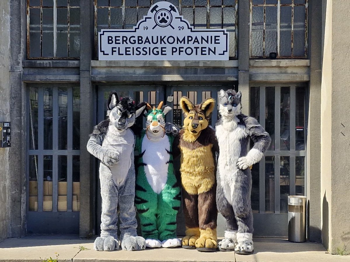 Tanor the Wolf (@tanorthewolf) on Twitter photo Look at these handsome critters.
🐶 <a href="/PhasorDragon/">Phasor (.bsky.social)</a>, <a href="/Tobsiwolf/">Tobsi</a>, <a href="/ScoutvanHowlen/">🐺 Scout van Howlen 🐺</a>
📸 <a href="/weiser_melanie/">Dragoneye</a> Look at these handsome critters.
🐶 <a href="/PhasorDragon/">Phasor (.bsky.social)</a>, <a href="/Tobsiwolf/">Tobsi</a>, <a href="/ScoutvanHowlen/">🐺 Scout van Howlen 🐺</a>
📸 <a href="/weiser_melanie/">Dragoneye</a>