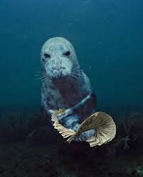 Ok bro yeah we see it stop flexing on us