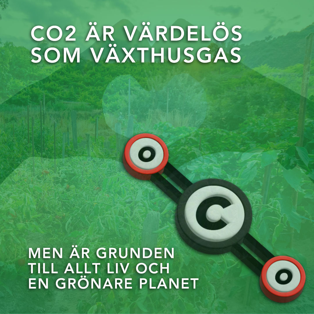 johan_lg2's tweet photo. En fördubbling av koldioxidhalterna skulle öka världens grödoproduktion med i genomsnitt 46% (studie av 83 grödor i 270 laboratorier: Idso 2013).

Avkastningen av örtartade växter ökar med 33% när koldioxidhalten höjs med 300 ppm.
Den genomsnittliga avkastningsökningen för sädesslag som ris och vete, samt för vedartade växter, skattas till 50%.

Världens viktigaste sädesslag, ris, ger optimal avkastning vid en koldioxidhalt runt 0,10%. I stort sett alla undersökta växtarter har fått tillväxtökningar i storleksordning 25-100% vid 0,10% koldioxidhalt.

Senaste 30 åren har jorden blivit 20% grönare och avkastning på jordbrukets ökat med 13%!
Tackar koldioxid och varmare klimat!
Hade jorden istället förlorat 20% skulle det innebära en katastrof för ALLA. 

Det har blivit grönare där det annars skulle varit öken idag.

Högre halter av koldioxid i atmosfären leder till att växtligheten i världen binder koldioxid mycket snabbare och de växer allt bättre ju högre halten är.

De ger mera mat åt växterna och därmed även åt djur och mikroorganismer
📍Grönare värld
📍Förbättrad livsmedelsförsörjning, vi kan mätta fler
📍Växterna blir mera sparsamma med vatten genom att bilda färre klyvöppningar
📍Stärker växternas näringsupptag, motståndskraft mot ozon, och tolerans mot höga temperaturer
📍Gynnsam för växter

När växterna mår bra, mår även växtätare, rovdjur och mikroorganismer bra. Livet blir helt enkelt frodigare vid högre koldioxidhalter

De ökade lufthalterna av koldioxid har haft en signifikant gödslingseffekt, så som IPCC förmodade i 2023-års rapport. I moderna växthus tillsätter man därför koldioxid mångdubbelt halten i atmosfären.

Luftens koldioxidhalt är inte skrämmande hög, utan skrämmande låg

Gröna växter driver sin fotosyntes med hjälp av sol, koldioxid och vatten. Tillgången till koldioxid är så gott som alltid starkt begränsande.

En uppsjö av experimentella studier har nämligen visat att höjningar av luftens koldioxidhalt kraftigt stimulerar tillväxten av i stort sett alla växter, till lands såväl som till havs.

Ökande koldioxidhalter är inte livshotande, utan starkt livsbefrämjande.

Koldioxid har samma betydelse för växtlivet som syre har för alla djur som andas.

En fantastisk symbios som håller oss vid liv, där växter producerar det syre vi behöver, och vi producerar den koldioxid de behöver.

Data presenterade av jordbruksverket sjunker skördeutbytet av skandinaviska brödsädsväxter snabbt mot noll redan när koldioxidhalten närmar sig 0,02%.
Svältgränsen för nutidens C3-växter ligger runt 0,02%.

Halten är så låga att luften numera endast innehåller spårmängder av koldioxid.

Koldioxid har blivit en biologisk bristvara, som det råder stark konkurrens om!

Luft består av:
📍78% kväve
📍21% syre
Det är allt! 99% av luften

Små restgaser dock
📍0,93% argon
99.93% av luften

Spårgaser kvarstår som
📍0,042% koldioxid
📍0,0002% metan

4 molekyler per 10 000, ökat från 3 till 4 molekyler sen lilla istiden. Ökning med 1 extra molekyl per 10 000 på 175 år

Av dessa 4 molekyler är 96% av naturliga källor, människan tillför ynka 4% globalt

Mänsklighetens 10GtC/år(36,66GtCO2) motsvarar ungefär 4% av de naturliga flödena

Människan svarar alltså för en liten del av omsättningen i jordens kolcykel. Endast 0,0017%(4% av 0,042%)