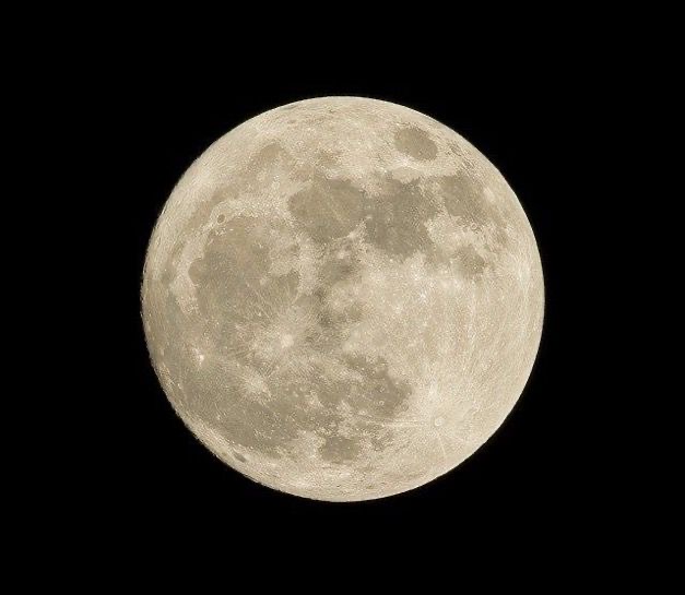 Celebs__Arabic's tweet photo. 20 يوليو:

هو اليوم العالمي للقمر! 🌑✨ https://t.co/q2CRJZtfj6