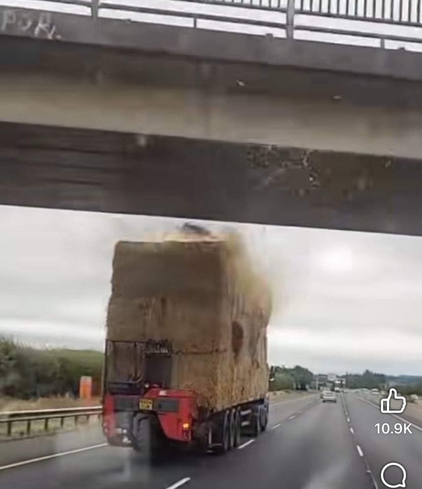 1901gennelm's tweet image. Donβt you just love Straw Hauliers π«£