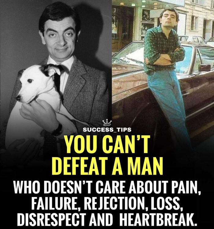 Mindful Maven (@mindfulmaven_) on Twitter photo 