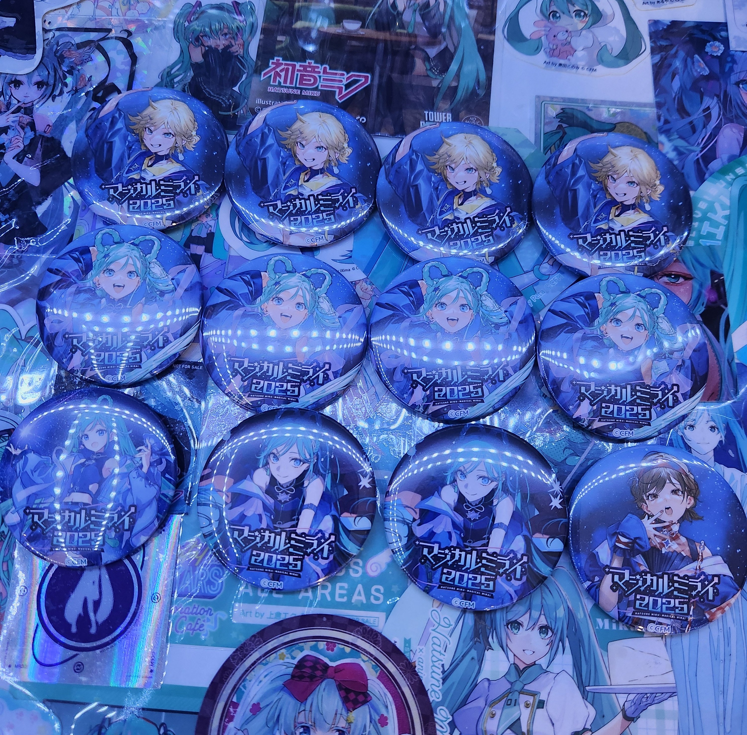 ヒメヒナ 2025 缶バッジ56個 +オーロラアクキー まとめ売り