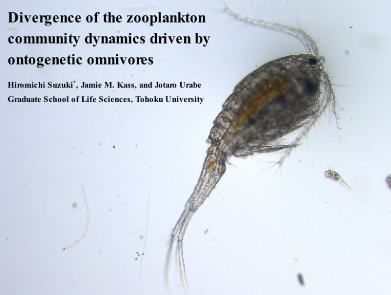 I'm attending #EAFES 2025 in Tokyo and talking about eclogical role of cyclopoid copepods in zooplankton symposium (S12)! The session will be held tomorrow morning!