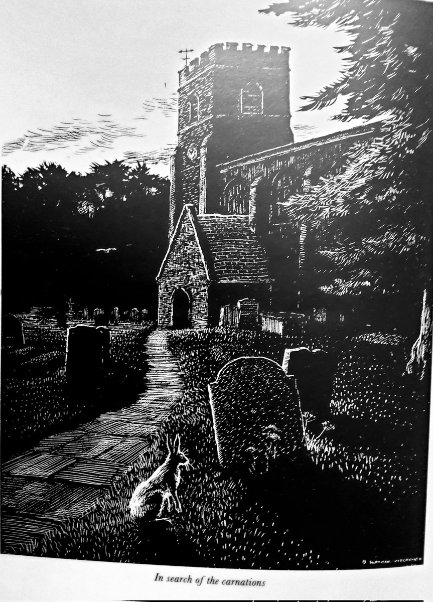 AdeysAlthorp's tweet image. Naturalist and author DJ Watkins-Pitchford (1905-1990) aka 'BB' wrote many books and thousands of illustrated articles that inspired me to work with nature and to draw and paint wildlife.
Born a few villages from Althorp 'BB' taught art at
Rugby school.
Conservation@althorp.com