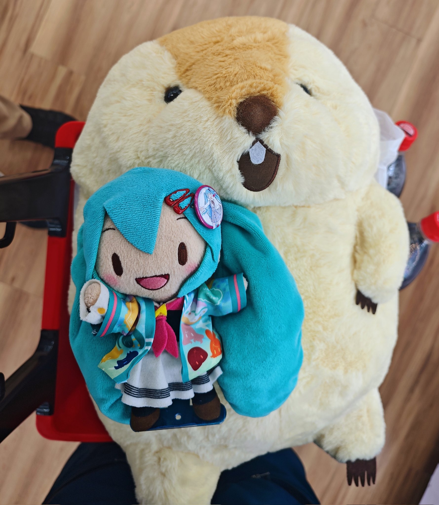 ＊アルパカさんのぬいぐるみ 飾っておくだけでも可愛い♡ 楽天市場】超可愛 アルパカ ぬいぐるみ 動物 アルパカ