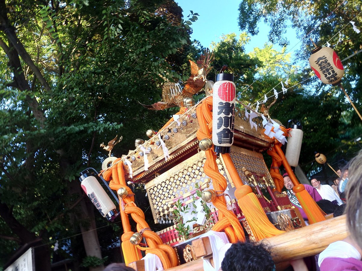 sholowp's tweet photo. ほんしか https://t.co/MSG9PAlFxa