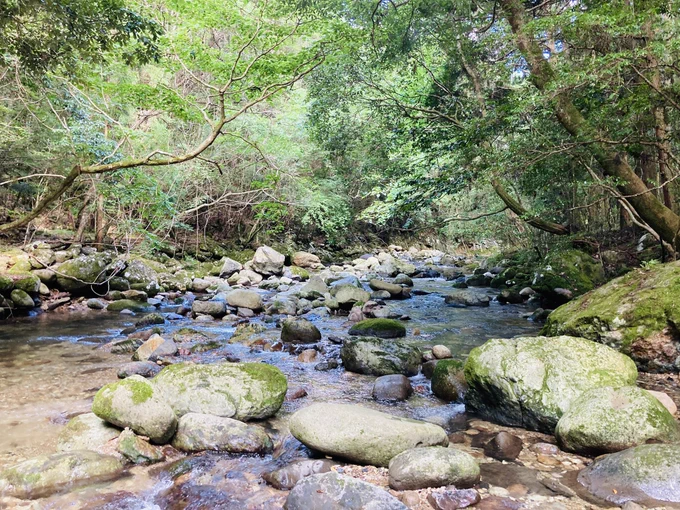 ひっさびさにバイクに乗って山の展望台に登って、川で石を拾ってきました