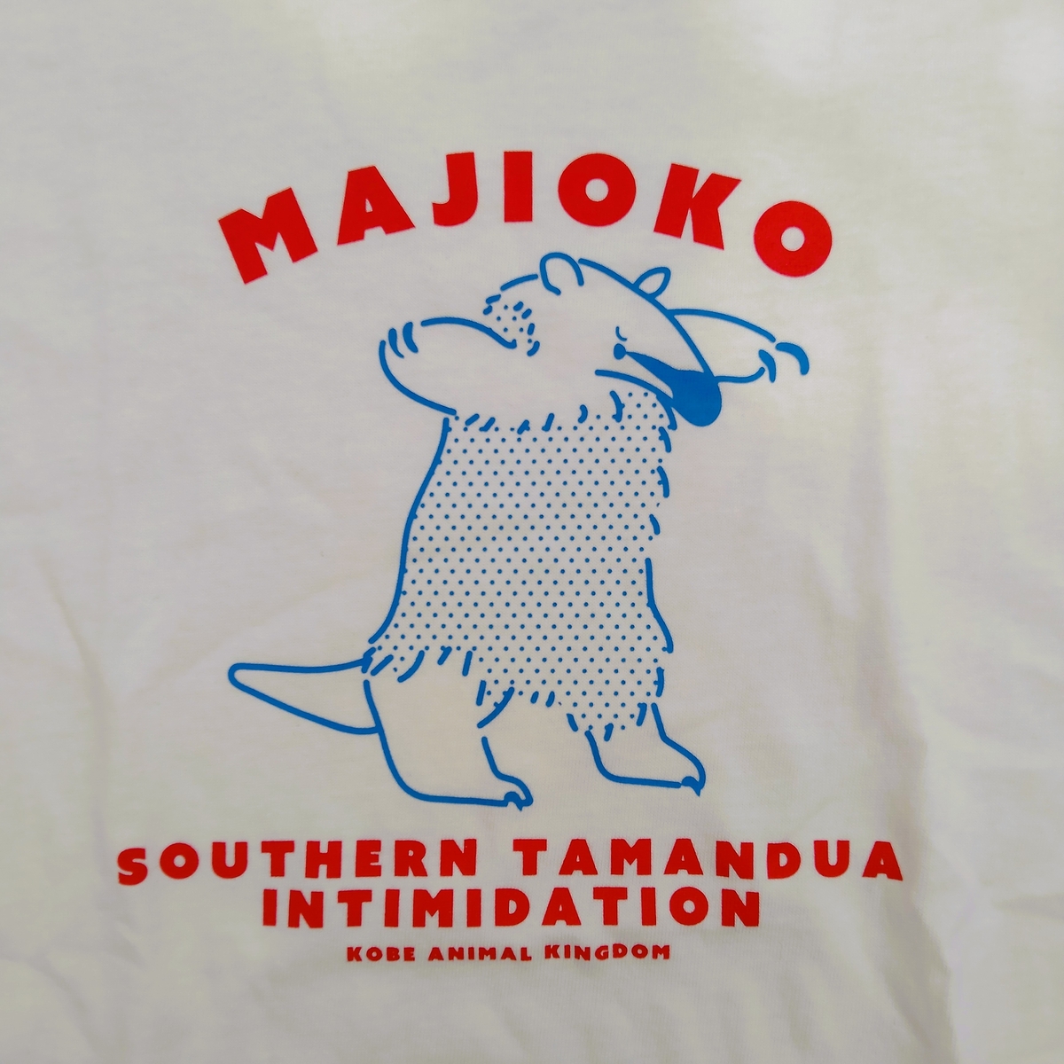 kobe_netshop's tweet image. MAJIOKOシリーズにTシャツができました。
レッサーパンダとミナミコアリクイの威嚇姿が
Tシャツのデザインになりました。
怒っているのに可愛く見えてしまう
ぜひ、ご覧ください。
kobe-oukoku-raku-uru.com/item-list?keyw…