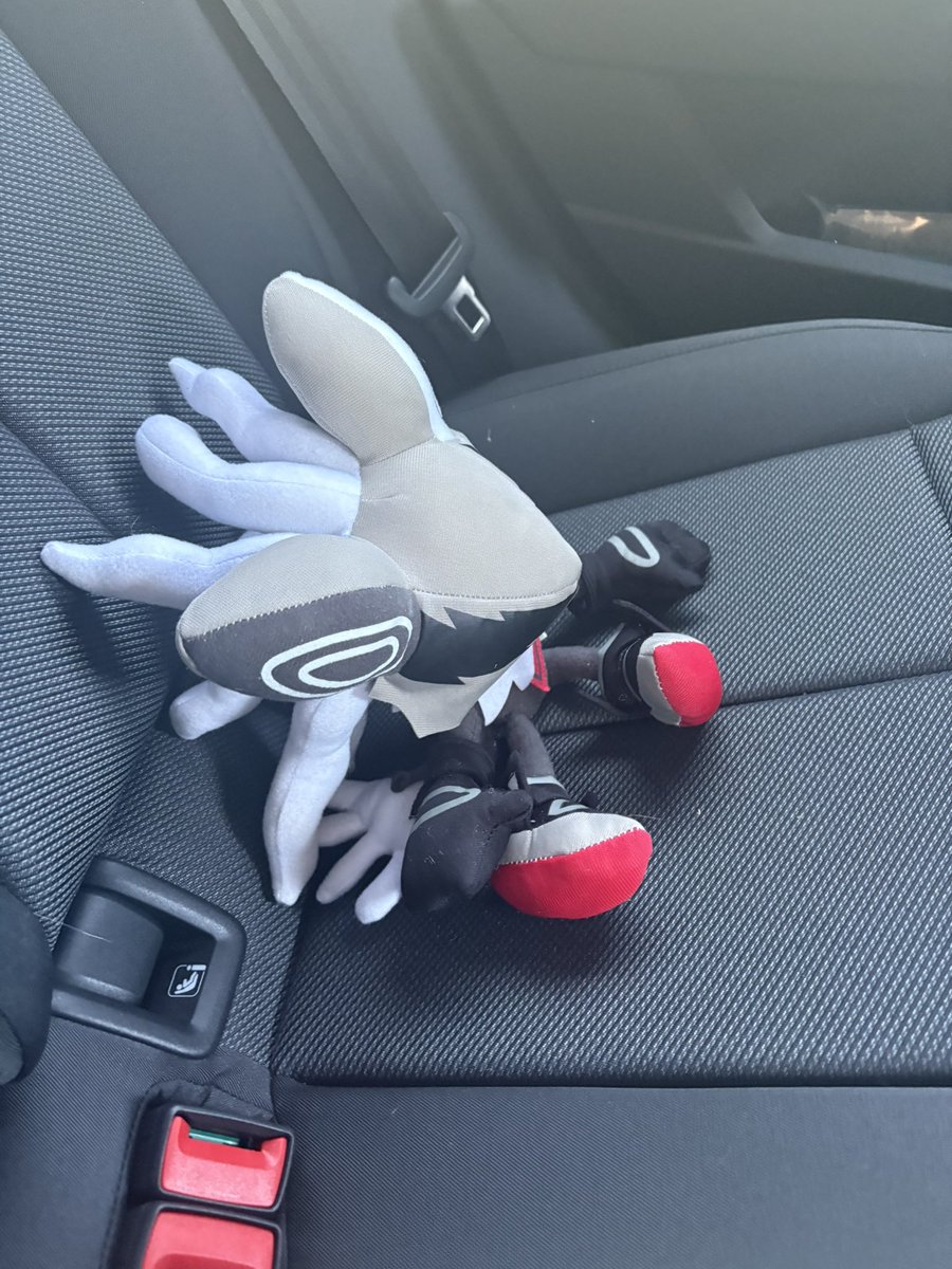 comet_mage_17's tweet image. It’s infinite’s birthday I’m taking him out with me