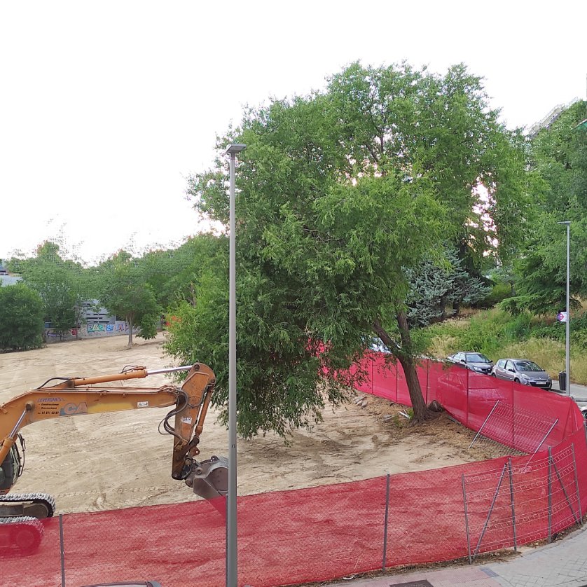 ¿Cuánto tiempo de vida más le dais a este precioso árbol?
Pista: está en Madrid.
<a href="/MadridDecadente/">MADRID DECADENTE</a>
<a href="/CoordinadoraHTZ/">Coordinadora de Hortaleza</a>
