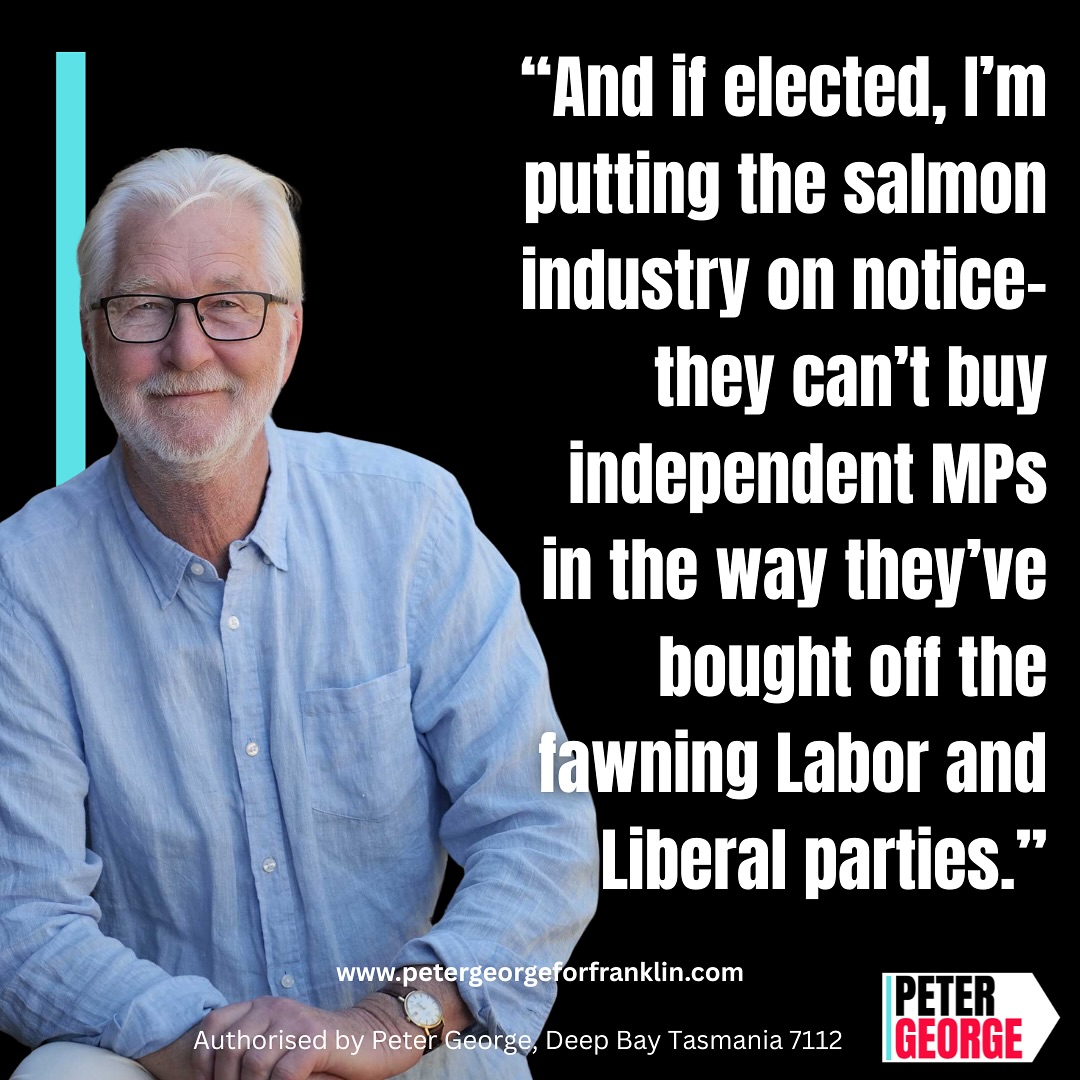 TheGAAIA's tweet image. “All I’ve heard from the parties so far is abuse that I’m apparently a radical, whereas in fact my politics in any other part of the world would be considered so much middle-of-the-road that I’d probably be run over” George said @NOFF_Tasmania @pulsetasmania…