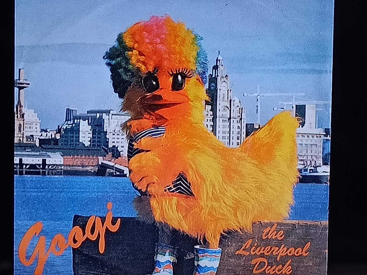pollyjo12's tweet image. Harry Enfield didn't invent the "Scouser curly wig". Googie the Liverpool Duck did .
Should be a statue at the pier head of this Icon π€£π€£
And yes I've just sang the entire song word for word