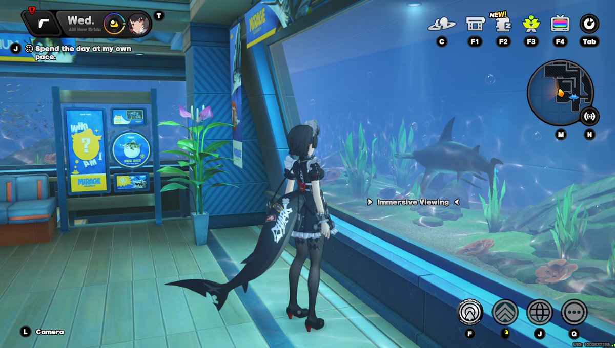 Shark looking at shark, how wonderful