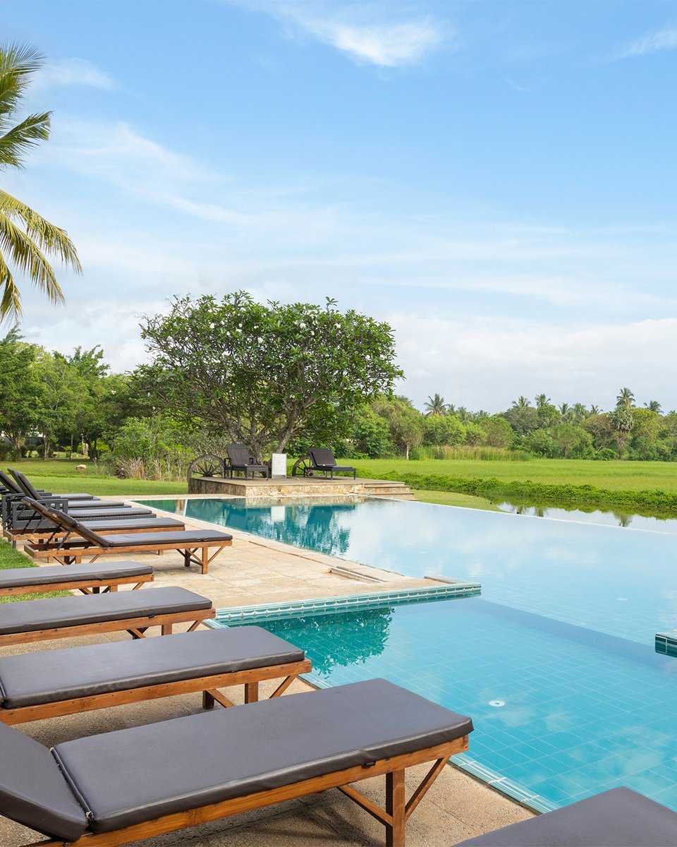 CeylonInsider's tweet photo. Nestled by the serene Tissa Wewa reservoir and overlooking vast paddy fields, Kithala Resort by Thema Collection is a perfect gateway to Sri Lanka’s wild south. Named after the Purple Heron, the resort is a haven for nature lovers and bird watchers. Its location in Tissamaharama makes it an ideal, comfortable base for safaris to Yala and Bundala National Parks. Relax by the beautiful pool after a day of adventure and enjoy the panoramic views of the lush, green landscape. It’s a place where natural beauty and convenience meet for a relaxing and memorable stay.

Design your Sri Lanka holiday now: https://t.co/eblRtqGTmu

Are you an avid birdwatcher who would love the lakeside setting, or are you more focused on the easy access to the big game parks like Yala? What’s your main reason for visiting the wild south?