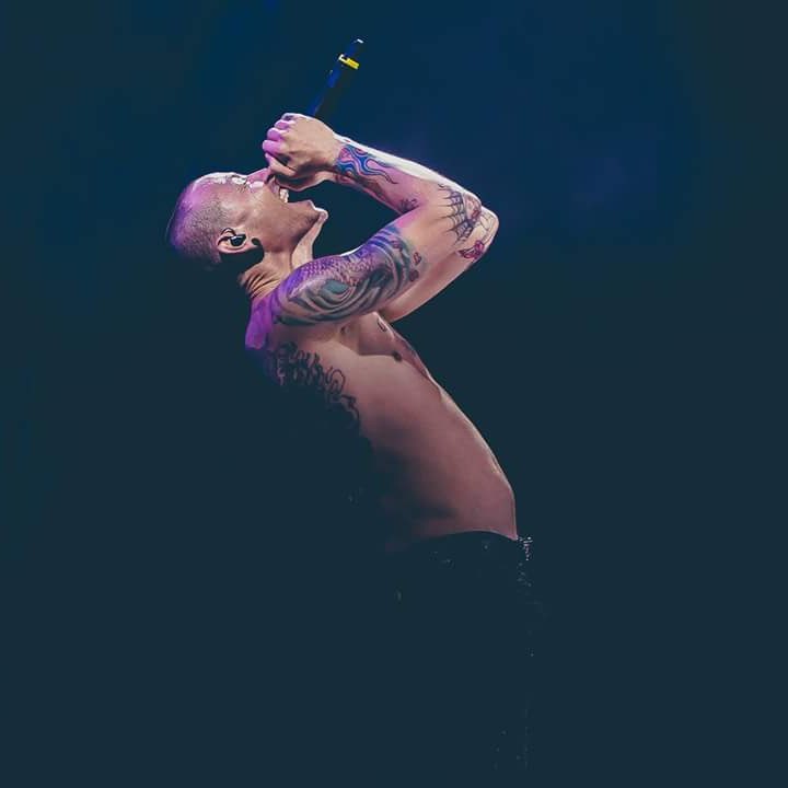 you gave pain a melody and made millions of people feel less alone ❤️ #ChesterBennington #CelebrateChestersLife