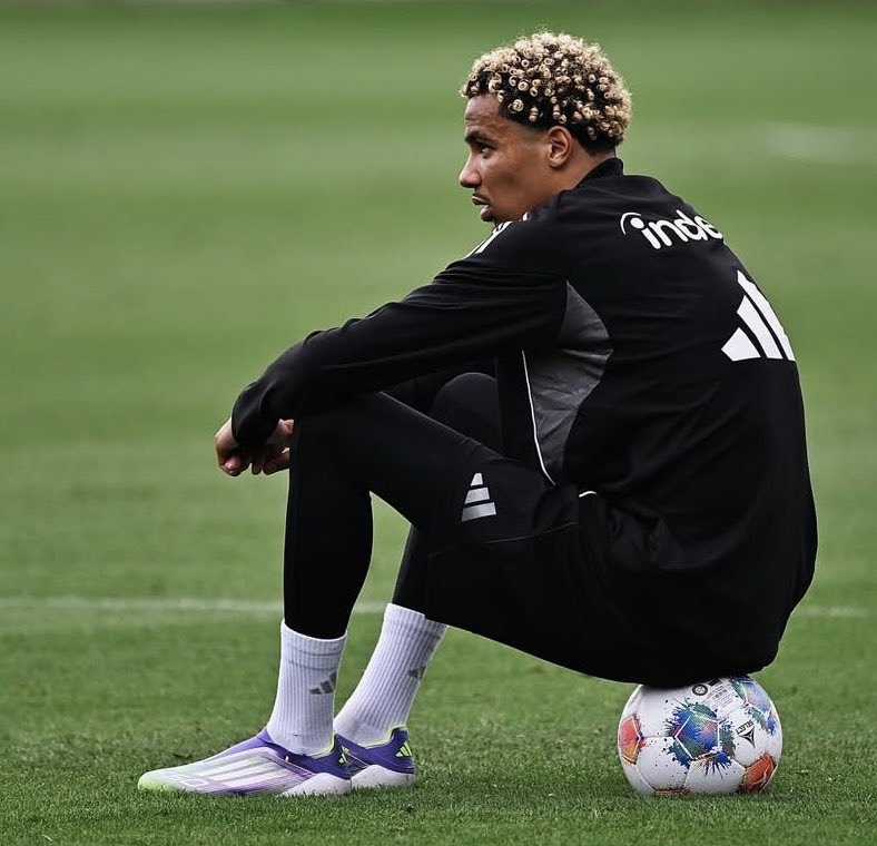 All Hugo Ekitike goals from the 24/25 season. The caliber and quality of these goals are INSANE.

A thread 🧵🇫🇷