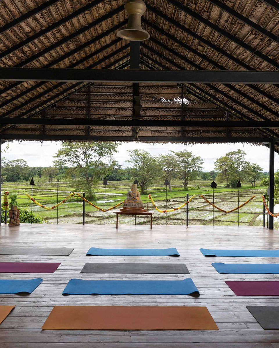 CeylonInsider's tweet photo. Embark on a journey of healing and self-discovery at Ayurvie Sigiriya by Thema Collection. This dedicated Ayurveda and yoga retreat is a sanctuary of wellness, nestled in a tranquil setting with views of the majestic Sigiriya Rock. Here, ancient healing traditions meet modern comfort. Experience personalized Ayurvedic treatments prescribed by resident doctors, practice yoga and meditation in a peaceful environment, and nourish your body with wholesome, organic cuisine. It’s a place designed to help you detoxify, de-stress, and rejuvenate your mind, body, and spirit in a truly serene atmosphere.

Design your Sri Lanka holiday now: https://t.co/eblRtqHrc2

What part of an Ayurveda retreat appeals to you the most: the healing and relaxing treatments, the daily yoga and meditation practices, or the focus on healthy, nourishing food? Let us know what you'd look forward to!