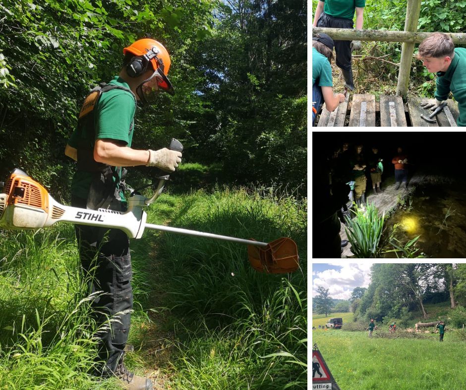 WorcsWT's tweet image. Say hi to our trainee Sam 👋
As someone who has always appreciated the great outdoors, a spark of interest for pursuing a career in wildlife conservation came to Sam after volunteering at the Balule Game Reserve in South Africa, which involved exciting transect drives across the…