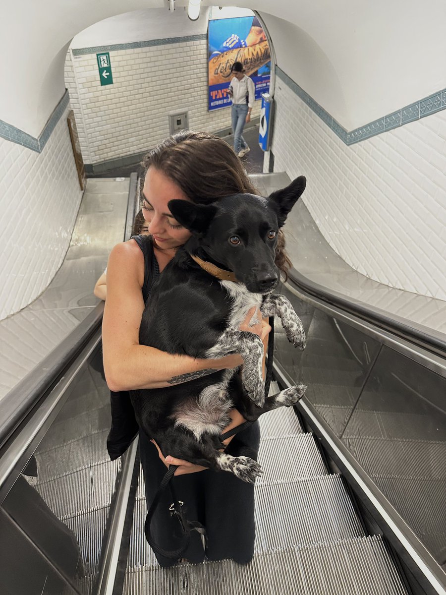 he is indeed just a baby🧡