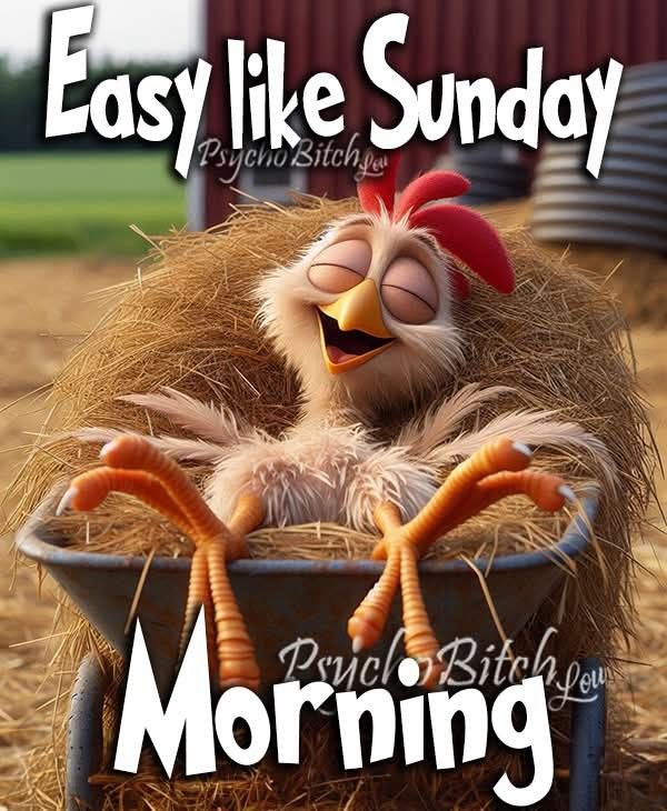 NicholasKocis1's tweet image. Good morning everyone. Happy Sunday . Hope everyone is enjoying the weekend ๐. Hope you all have had a good night's sleep and breakfast ๐ฅ๐ณ๐ง๐ฅ๐ฅ๐๐ฅ๐ฅ. Enjoy the rest of the day ๐โ๐๐.