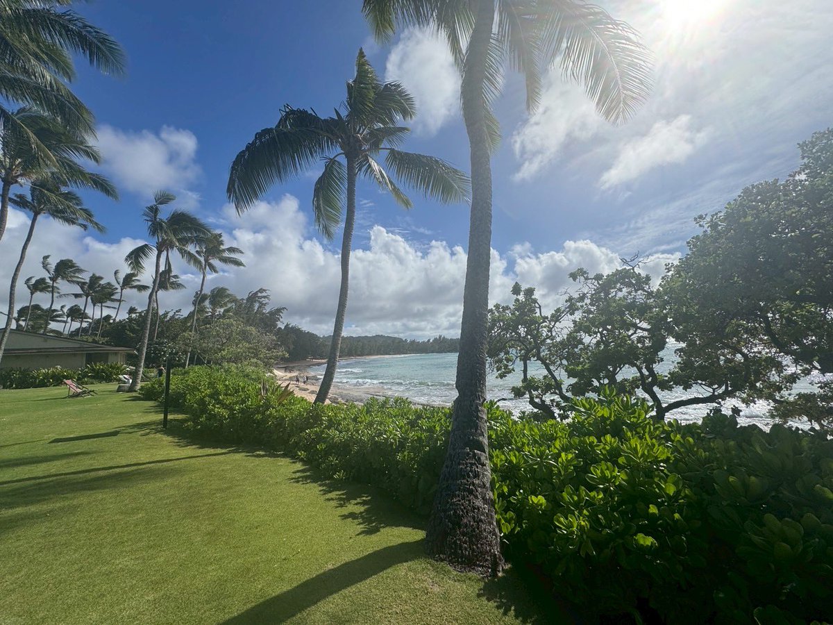 goHawaiiJP's tweet image. Aloha!
本日はオアフ島北部からお届け🌺レトロで可愛らしいショップが多くあります😊