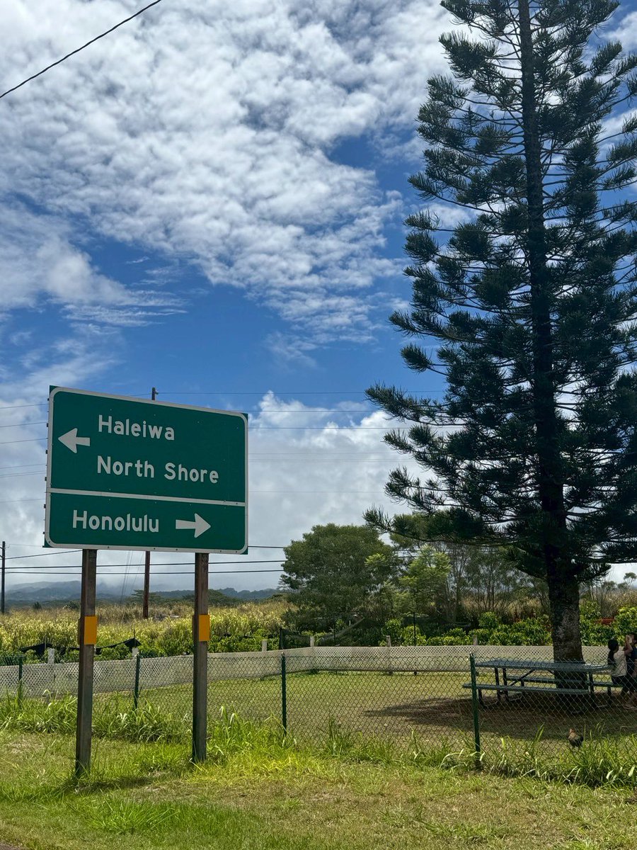 goHawaiiJP's tweet image. Aloha!
本日はオアフ島北部からお届け🌺レトロで可愛らしいショップが多くあります😊