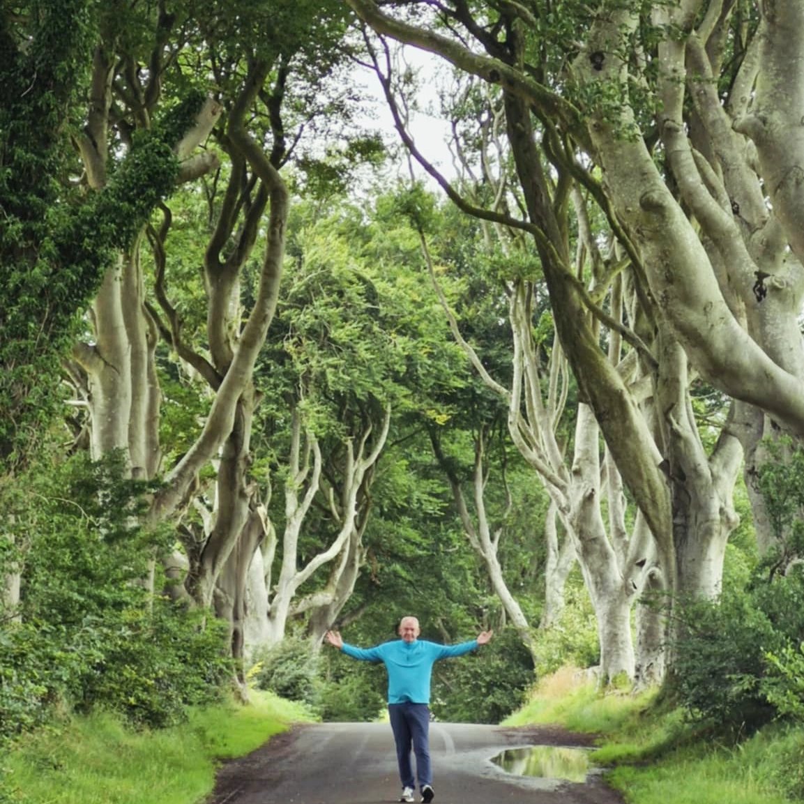 The Dark Hedges 🌳#gameofthrones #northernireland #privatetour #thedarkhedges #bespoke #privatetour #privatechauffeurservice #ireland #privateguide #celticwaysireland #travel #tourism #vacation