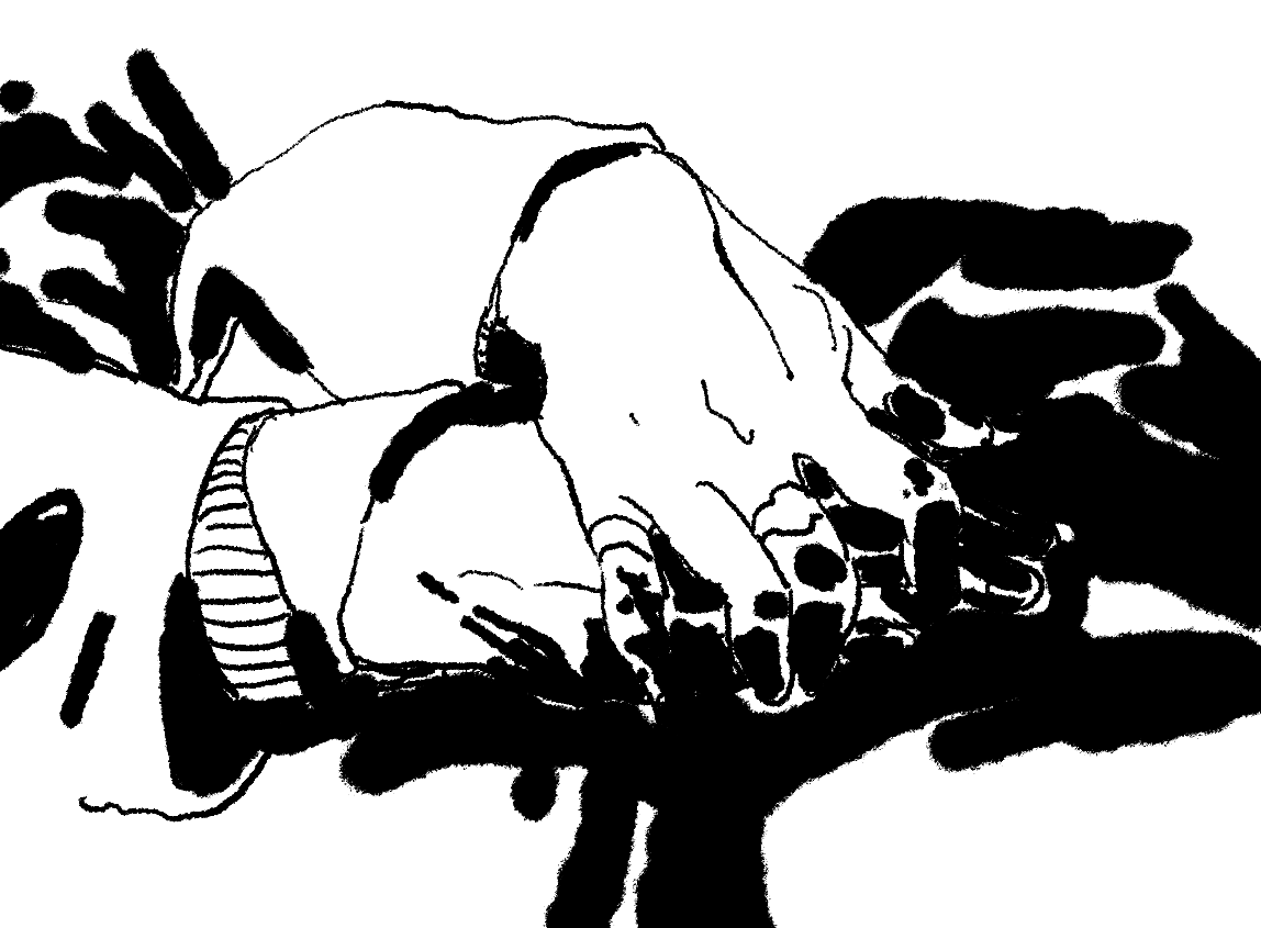 ChachaTortuga's tweet image. in a particular mood